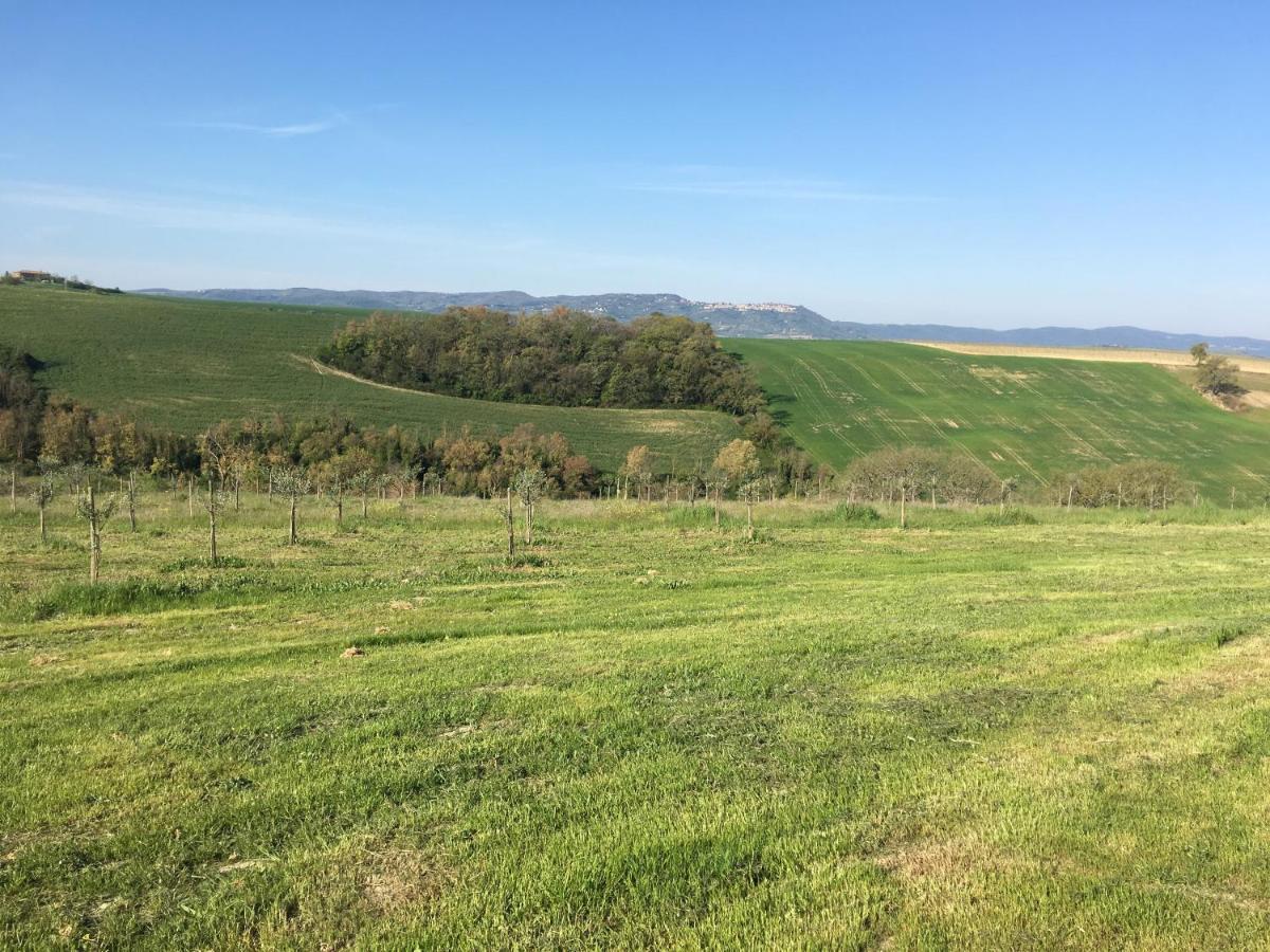 Cordella In Valdorcia Truffle And Olive Oil Resort Montalcino Bagian luar foto