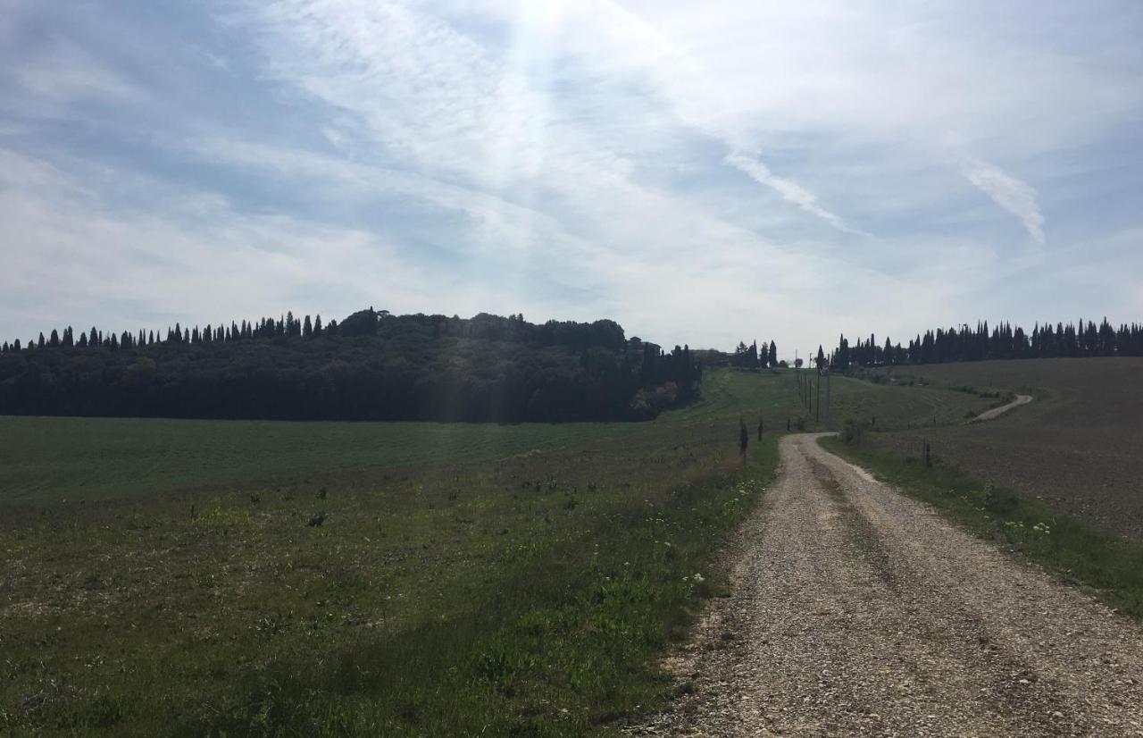 Cordella In Valdorcia Truffle And Olive Oil Resort Montalcino Bagian luar foto